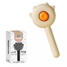 برس ریچل برند مورفی 